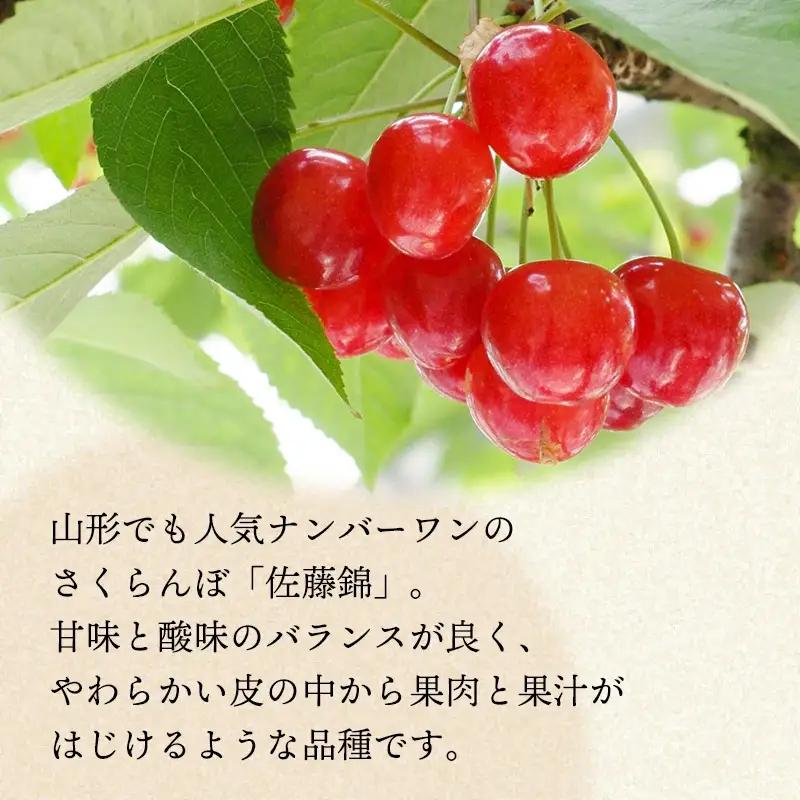 【令和8年産先行予約】さくらんぼ　佐藤錦 約1kg 山形県庄内産　丸果庄内青果　| サクランボ チェリー 佐藤錦 果物 くだもの フルーツ 1キロ 甘い 完熟 旬 産地直送 人気 美味しい 2026年