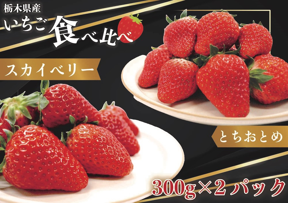 
[先行予約・じゅわっと溢れだす] スカイベリー＆とちおとめ食べ比べセット600g (12月中旬より順次発送予定)｜いちご 苺 フルーツ 果物 産地直送 [0421]
