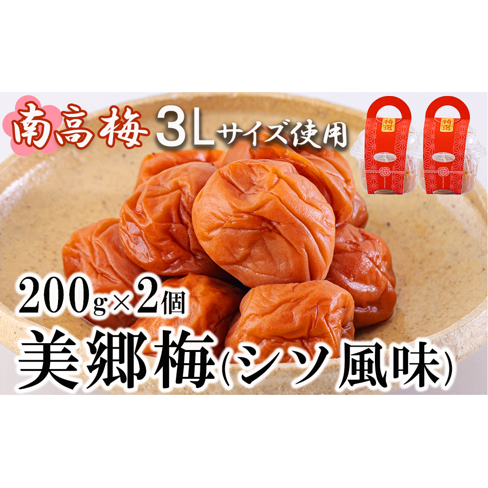 南高梅 梅干し 美郷梅 シソ風味 200g×2 3Lサイズ 塩分控えめ A級品 [農林産物直売所 美郷ノ蔵 宮崎県 美郷町 31ab0110] 国産 宮崎県産 美郷産 常温 送料無料 贈り物 贈答品 父の日 母の日 プレゼント ギフト 紫蘇 おやつ お菓子