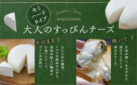 ＜牧成舎・ふるさと納税限定＞飛騨のチーズ＆ソーセージ＆ヨーグルトセット 朝食 [B0007]