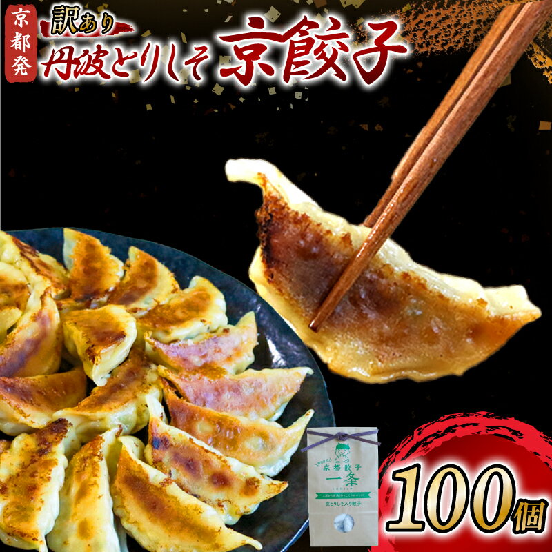 【ふるさと納税】 丹波とりしそ京餃子 100個 訳あり 冷凍 ぎょうざ ギョウザ ギョーザ 便利 簡単調理 惣菜 絶品 おかず お子様 家族 こだわり餃子 餃子 人気餃子 簡易包装餃子 訳あり餃子 訳アリ 冷凍餃子 冷凍生餃子 京都 井手町 京都餃子一条