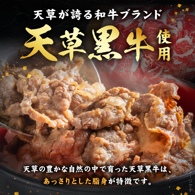 S074-016-T03_【定期便3回】天草黒牛 モモ・スネ肉 切り落とし約500g(250g×2P） 黒毛和牛 A4〜5等級