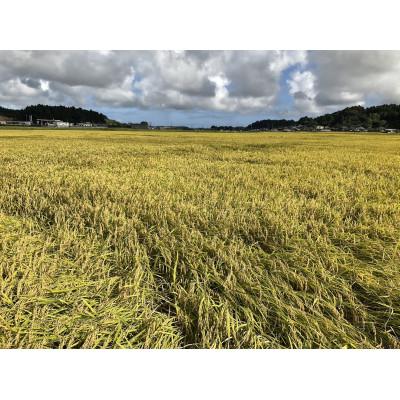 ふるさと納税 多古町 多古米グランプリ常連　佐藤さんのコシヒカリ【令和6年産精米5kg】 |  | 03