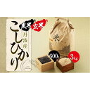 【ふるさと納税】【玄米】丹波産こしひかり玄米《令和7年度産》3kg　黒米300g×2