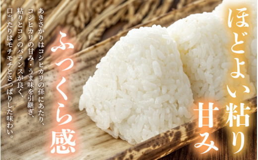 令和7年産 あきさかり 10kg 福井県産 コシヒカリ系統品種【白米】【お米 アキサカリ 10キロ】 [e30-b019]