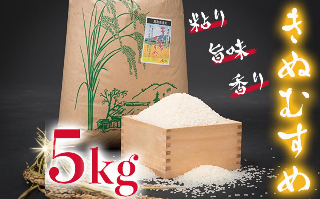 【令和8年産】きぬむすめ5kg（新米収穫後の10月以降発送）
