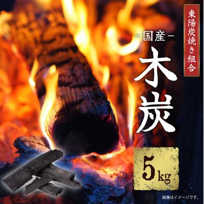 ふるさと納税 八代市 東陽炭焼き組合 国産 木炭 5kg_065-4924-C