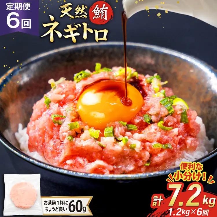 【ネギトロ】6回 定期便 天然 マグロ ネギトロ まぐろたたき 60g 20個 計1.2kg