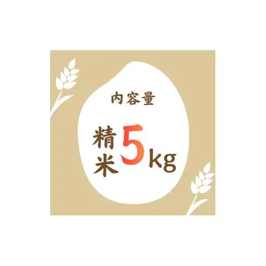 利根町産コシヒカリ　精米5kg ／ 米 こめ コメ お米 おこめ コシヒカリ こしひかり 令和7年産 白米 精米 ご飯 ごはん 10kg 送料無料