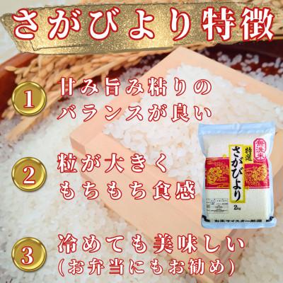 ふるさと納税 吉野ヶ里町 【無洗米】さがびより20kg!2kg×10袋【真空パック】五つ星お米マイスター厳選!(吉野ヶ里町) |  | 01