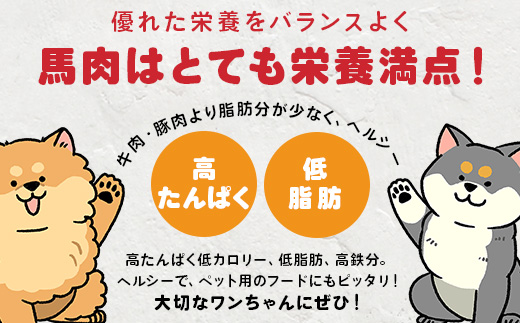 【 定期便12回 】 ペット用 熊本加工 馬肉 切り落とし 【 2kg ×12回配送 】 合計 24キロ ドッグ フード 無添加 無香料 ヘルシー 高栄養 馬刺し 冷凍 お肉専門店 熊本県 国内加工 
