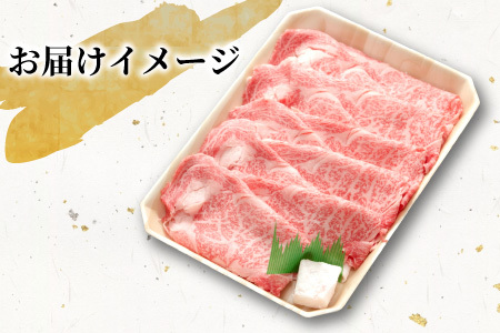 【12/26入金分まで年内発送】 飛騨牛 ロースまたは肩ロース すき焼き・しゃぶしゃぶ用 500g ロース カタロース 肩ロース 牛肉 和牛 肉 すき焼き しゃぶしゃぶ 東白川村 岐阜 贅沢 霜降り 