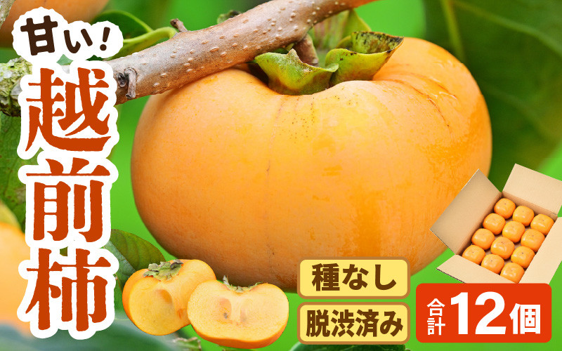 
            【先行予約】【種なし】 甘い！越前柿12個入り 脱渋済み 本場柿原郷で収穫 ※2025年10月上旬以降順次発送予定
          