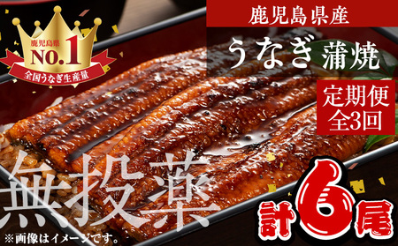 ＜定期便・全3回＞ 鹿児島県産 うなぎ 蒲焼 鰻 (1尾あたり136g～155g×2尾×3回、タレ・山椒付き) 【西日本養鰻】 T46