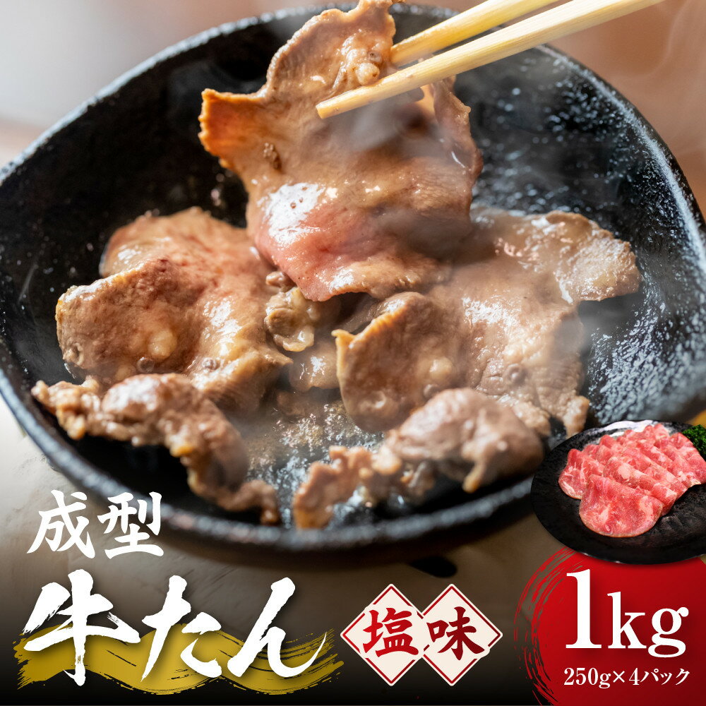【ふるさと納税】成型牛たん塩味　1kg(250g×4P)　宮城県共通返礼品 | 肉 お肉 にく タン 牛たん 牛タン 焼肉 バーベキュー 食品 宮城県 人気 おすすめ 送料無料