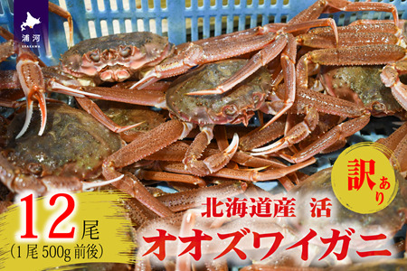 訳あり 活オオズワイガニ500g前後×12尾[02-1573]
