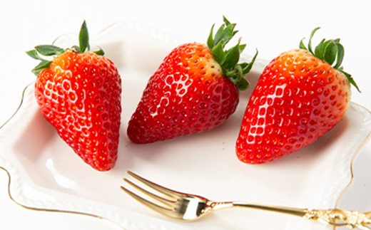 春いちご　古都華　約300g×4パック　合計約1200g【配送不可地域：離島・北海道・沖縄県】