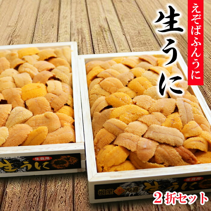 【ふるさと納税】 エゾバフンウニバラ詰め 130g × 2 折 うに 雲丹 えぞばふんうに 蝦夷バウンウニ 蝦夷ばふんうに ウニ丼 うに丼 雲丹丼 刺身 お取り寄せ グルメ 海鮮 北海道 根室市 ふるさと納税 D-73008