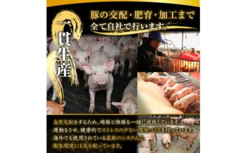 【３回定期便】鹿屋産 さかし豚 3kg盛りモモスライス