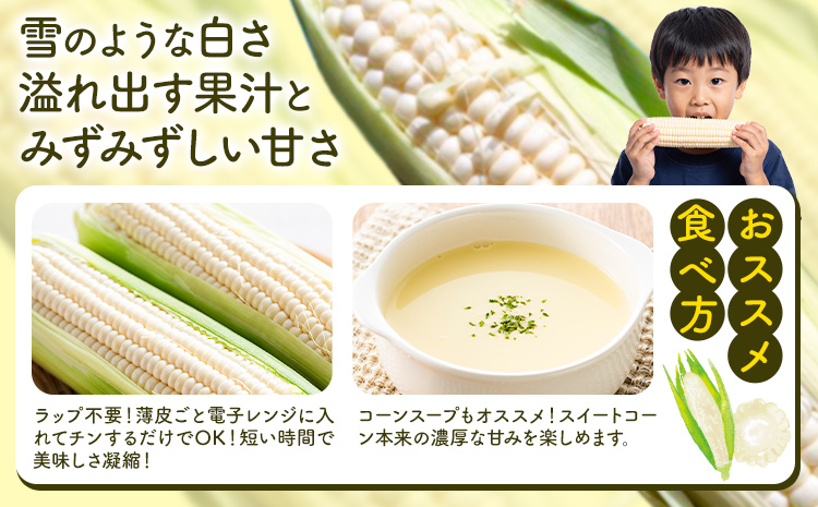 【2026年発送 先行予約】【 のざわ農園 】スイートコーン 10本 前後（約4kg） とうもろこし コーン とうきび 北海道 日高産