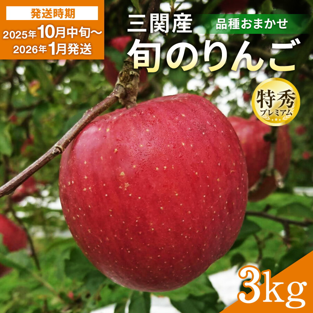 【ふるさと納税】三関産 旬のりんご プレミアム 特秀 3kg （8玉～12玉） 旬 りんご 品種お任せ 果物 フルーツ 秋田県 三関 【三関果樹研究会】[B15109]