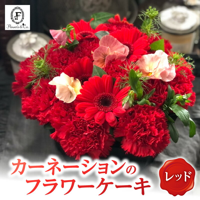 【ふるさと納税】レッド カーネーション ふわもこ カーネーションケーキ フラワーアレンジ 花瓶不要 そのまま飾れる アレンジメント バースデーケーキ風 プレゼント用 贈り物 還暦 記念日 お誕生日 お祝い 母の日 愛知県 碧南市 送料無料
