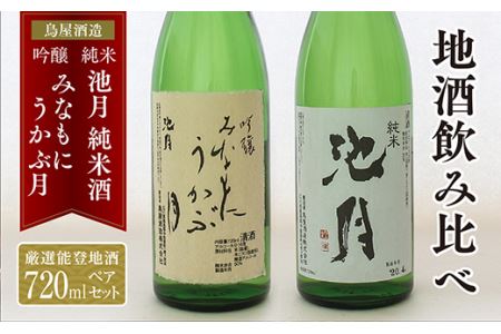 酒 日本酒 吟醸みなもにうかぶ月 池月 純米酒 飲み比べセット 720ml