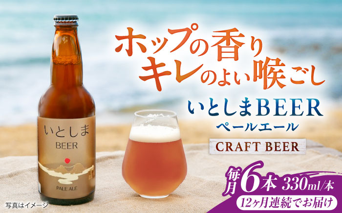 
                  【全12回定期便】いとしまBEER (ペールエール) 330ml×6本 糸島市 / 蔵屋 クラフトビール [AUA052]
                