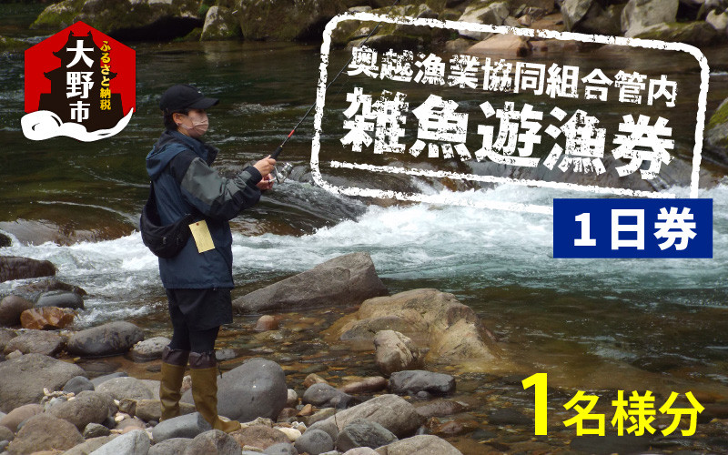 
            【2025年分】奥越漁業協同組合管内「雑魚遊漁券（1日券）」1名様分
          