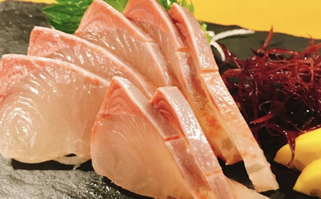 12ヶ月 連続 定期便 こだわり お魚 コース | かつお かつおのたたき かつおのタタキ 鰹のたたき サバ さば 鯛 たい タイ 勘八 カンパチ 鰤 ブリ ぶり 漬け丼 刺身 頒布会 12回 1年間