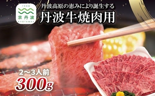 丹波牛 焼肉用 300g 2～3人前 【 黒毛和牛 国産牛 焼肉 丹波牛 赤身 霜降り 焼肉のタレ付き たれ 京都 丹波 いづつ屋 】 [015IZ003]