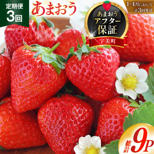 【期間限定発送】 いちご 定期便 あまおう 3p 3回 総計9p [THE FARM_strawberry 福岡県 宇美町 um40azo780004] イチゴ 苺 フルーツ 果実 甘い 小分け