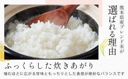 【2ヶ月定期便】無洗米 熊本県産 ブレンド米 肥後のめぐみ米 15kg 熊本県産 ふるさと納税 米 こめ ふるさとのうぜい コメ お米 おこめ《お申込み翌月から出荷》