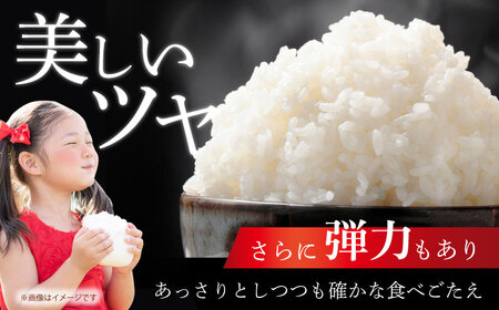 【全6回定期便】 ヒノヒカリ 白米 10kg 【有限会社江北商会】[HDK003]