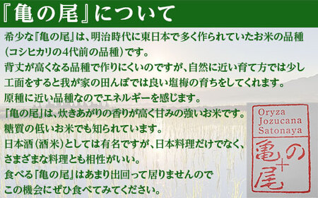 亀の尾 1kg 玄米 有機JAS認証 Oryza Jozucana Satonaya【正すの実】