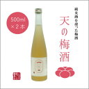 【ふるさと納税】純米酒で仕込んだ「天の梅酒」　500ML瓶 2本【1410450】