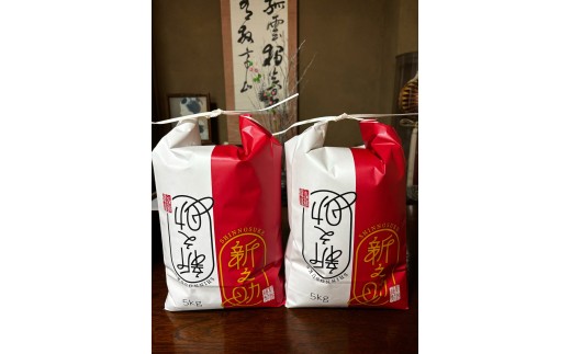 令和7年産 旧村松町産 新之助 10kg | しんのすけ 新潟県産 お米 おこめ こめ コメ ご飯 ごはん 白米 精米 ブランド米 おすすめ 新潟県 五泉市 株式会社熊倉商店
