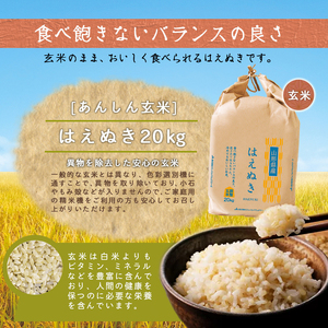 【2026年2月下旬発送】令和7年産 【 あんしん玄米 】 はえぬき 20kg 米 玄米 山形 07-01-168-02C