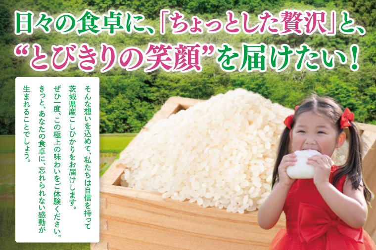 【数量限定】【10月より発送】【令和7年産】【６ヵ月定期便】美味追求 茨城県産こしひかり 5kg×6 【定期便 お米 ごはん こしひかり 精米 おにぎり ごはん 茨城県 水戸市 30キロ】(NA-3)