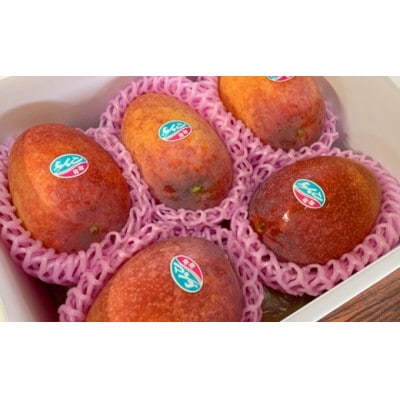 【2025年7月中旬より順次発送】完熟マンゴー約2kg(4～6個:化粧箱入り)、贈答用(A級品)【配送不可地域：離島】