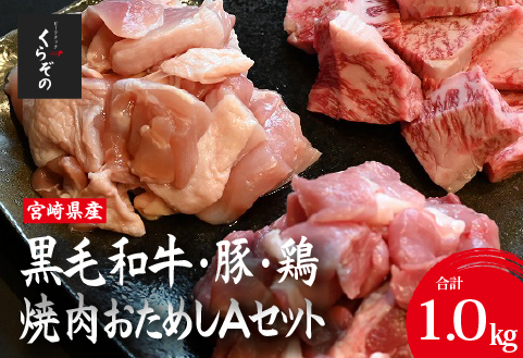 宮崎県産 牛・豚・鶏 焼肉おためしAセット 計1kg（牛肉 豚肉 鶏肉 和牛 焼肉 訳あり 小分け 食べ比べ）