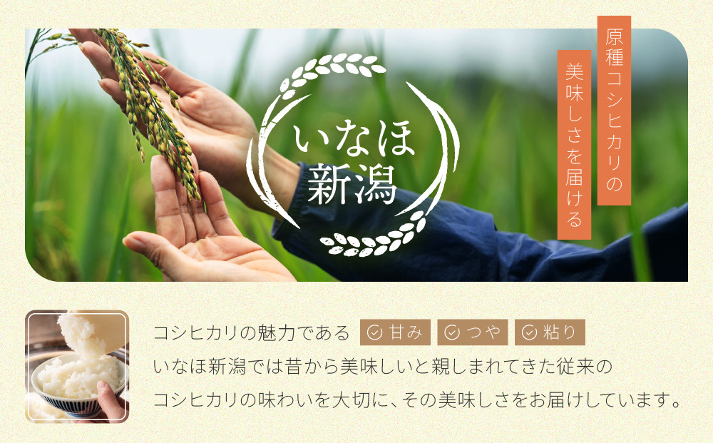 【令和8年産 新米】南魚沼産コシヒカリ 白米 5kg【銘柄米 ブランド米 精米 こしひかり コシヒカリ 魚沼産 新潟米 産地直送 お米 米 こめ コメ ご飯 御飯 ごはん】