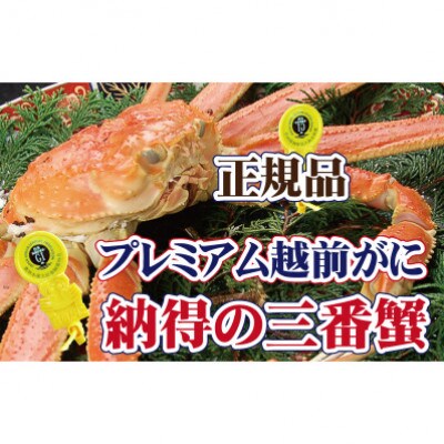 桐箱入り!三番蟹　納得のプレミアム越前がに × 1杯 ≪生≫【12・1月発送分】【配送不可地域：離島・北海道・沖縄・四国・九州】【1334060】