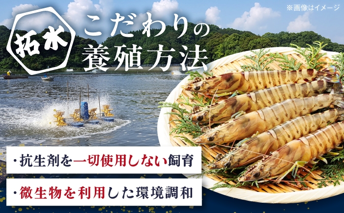 海鮮 車エビ 海老 エビ えび 小分け エビフライ