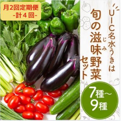 ふるさと納税 うきは市 【2週間毎定期便】名水うきは 旬の滋味(じみ)野菜セット　全4回