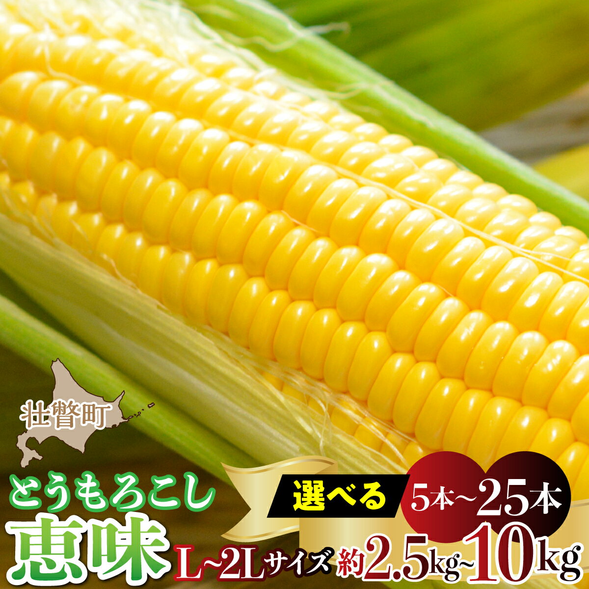 【ふるさと納税】＜2026年8月初旬よりお届け＞ 北海道壮瞥産とうもろこし 恵味 (めぐみ) L〜2Lサイズ【選べる 数量 】【ふるさと納税 人気 おすすめ ランキング トウモロコシ とうもろこし 恵味 野菜 甘い 北海道 壮瞥町 送料無料】