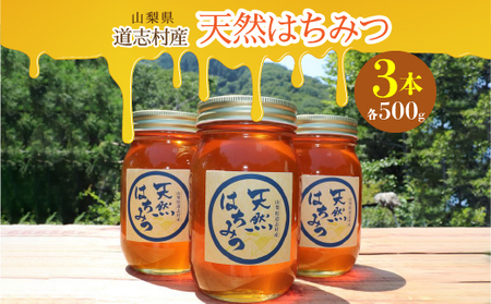 道志村産　天然はちみつ（500g×3本） DSD002　はちみつ ハチミツ　蜂蜜　ハニー
