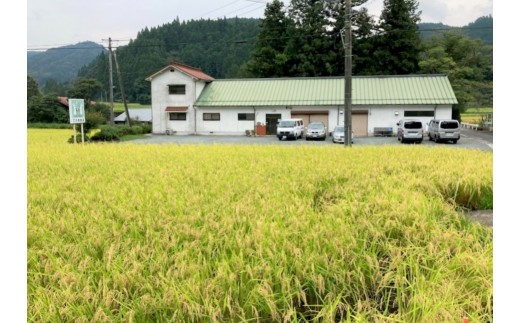【2026年8月発送】きねつきもち 42個(6個入×7パック) 豆餅 18切(6切入×3パック)