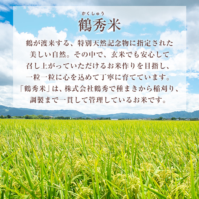 i224 ＜数量限定！新米＞ 令和7年産 鶴秀米 ヒノヒカリ 玄米 (5kg×2袋・10kg) 米 お米 10kg 国産 ヒノヒカリ 新米 おにぎり ごはん 【GOOD TIME】