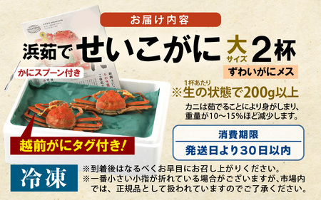 【先行予約】はるか丸厳選！≪浜茹で≫ 越前 せいこがに 大サイズ 約200g × 2杯【冷凍】かにスプーン付き【2025年11月下旬以降順次発送予定】とれたて！茹でたて！新鮮！【冷凍 セイコガニ セコ